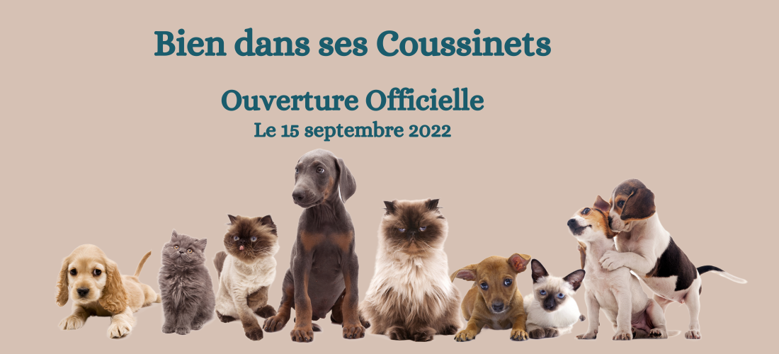 Bien dans ses Coussinets (1) actu ouverture Bien dans ses Coussinets (1) actu ouverture